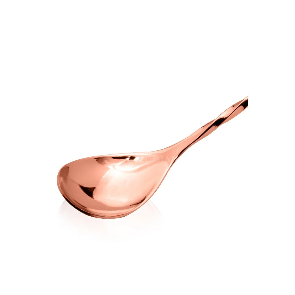 Bar Spoon Hoffman 30 cm Rame Lumian