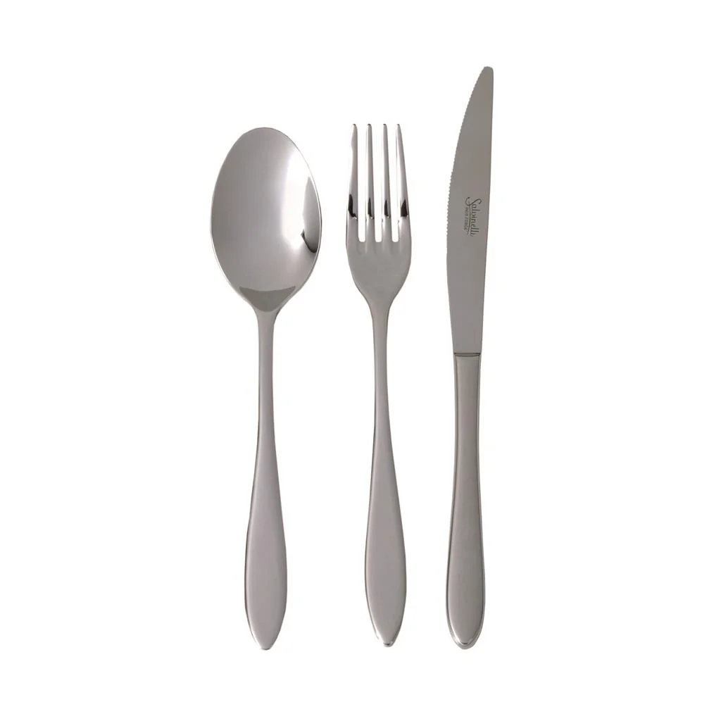 Set 12 Coltelli Tavola Forgiati Galileo 23 cm SALVINELLI