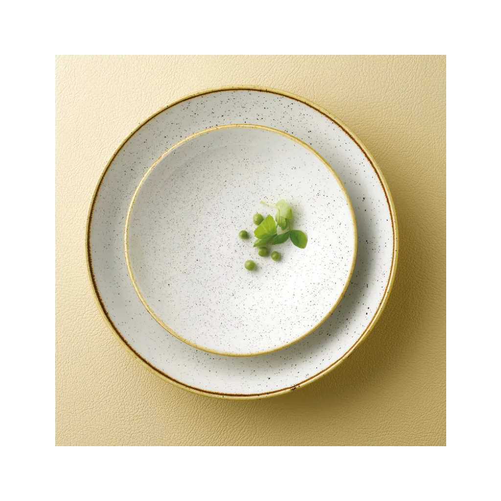 Piatto Fondo Stonecast Bianco in Porcellana Ø 25 cm Churchill