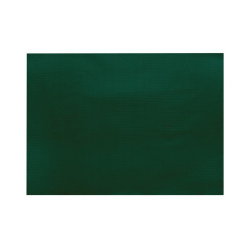 Paper Placemat 33x40 cm Green 500 pcs