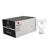 Set 6 Calici Amaro e Liquore Agrippa 34 cl in Vetro Borgonovo