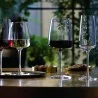 Set 6 Calici Flute Spumante Nexo 24 cl Bormioli Rocco