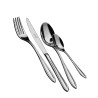 Set 12 Coltelli Tavola Forgiati Monet Salvinelli
