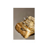 Set 12 Coltelli Dolce Finger Food COMAS