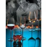 Set 6 Calici Degustazione Vino Allegra 49 cl PASABAHCE