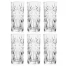 Set 6 Bicchieri Cocktail Oasis HB Tumbler 36 cl RCR