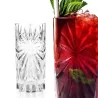 Set 6 Bicchieri Cocktail Oasis HB Tumbler 36 cl RCR