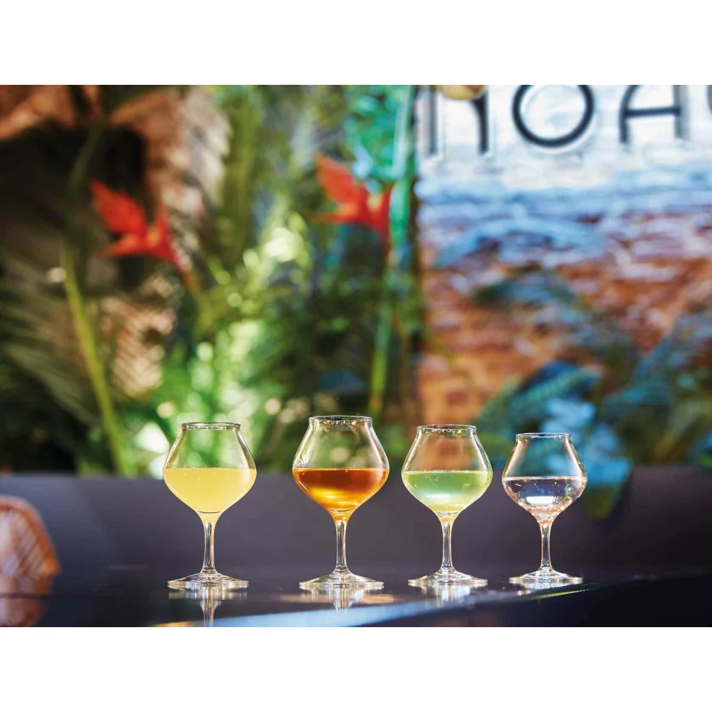 Set 6 Calice Rhum Spirits 17 cl ARCOROC