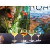 Set 6 Calice Rhum Spirits 17 cl ARCOROC