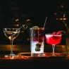 Set 4 Bicchieri Long Drink Este 29 cl BORMIOLI ROCCO