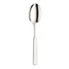 Set 12 Cucchiai Frutta Casali 3 mm PINTINOX