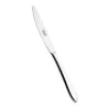 Set 12 Coltelli Tavola Forgiati Galileo 23 cm SALVINELLI