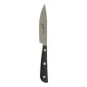 Coltello Bistecca Synthesis 22 cm 