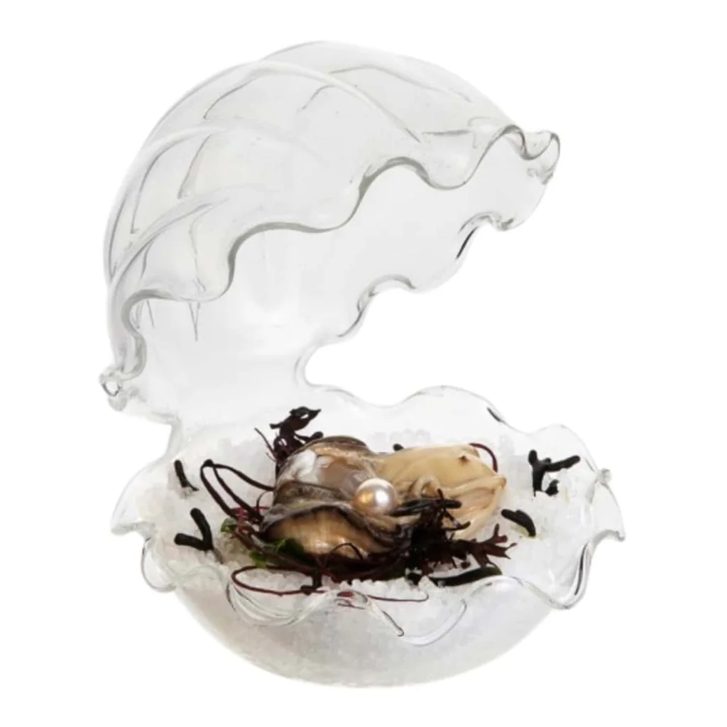 Piatto Ostrica Gourmet 12x13 cm DT