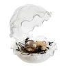 Piatto Ostrica Gourmet 12x13 cm DT