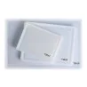 Tagliere Polietilene Bianco 16x22 cm LEONE