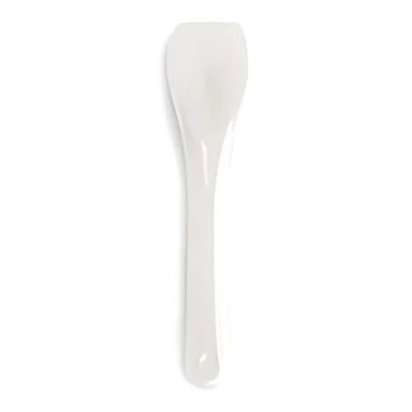 Palettine Gelato Bio 9,5 cm 1kg POLOPLAST