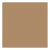Tovaglioli Airlaid Cappuccino 40x40 cm 50 pz RO.IAL