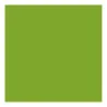 Tovaglioli Light Airlaid Kiwi 40x40 cm 50 pz RO.IAL