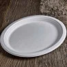 Piatto Ovale Polpa di Cellulosa 32x25 cm 50 pz USOBIO