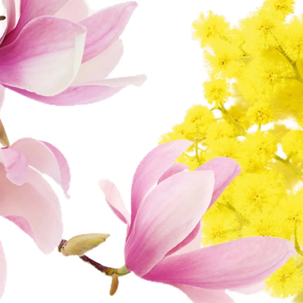 Deodorante Aires Magnolia e Mimosa 750 ml INTERCHEM