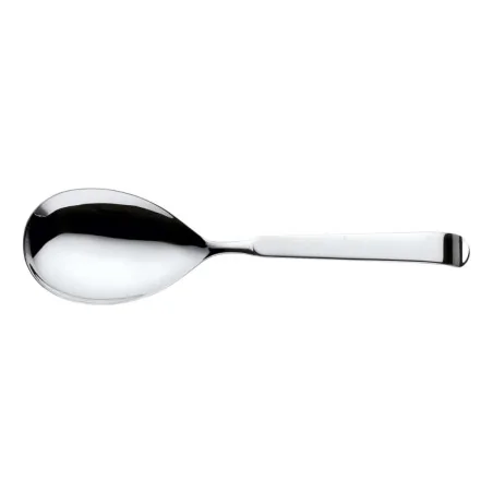 Cucchiaione Servi Pasta Astra 26 cm PINTINOX