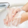 Sapone Oxalis Sani Soap 1 lt INTERCHEM