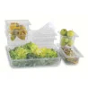 Bacinella Gastronorm 1/1 Policarbonato DT