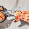 Forbici Pesce Good Grips OXO