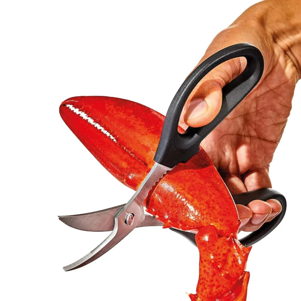 Forbici Pesce Good Grips OXO