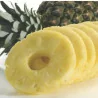 Svuota Ananas Inox 24 cm SAMBONET PADERNO