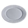 Piatti Cartoncino Bio Ø 29 cm 50 pz USOBIO