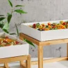 Set 2 Supporti Buffet Bamboo GN 1/2 - 1/3 LEONE