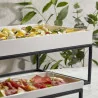 Stand Buffet Nero in Metallo GN 1/3 32,5x17,6x16 cm LEONE