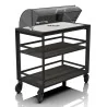 Carrello Servizio Industrial Rovere 90x50x82h cm ABERT