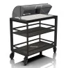 Coperchio Top Dolci e Formaggi Refrigerante Industrial ABERT
