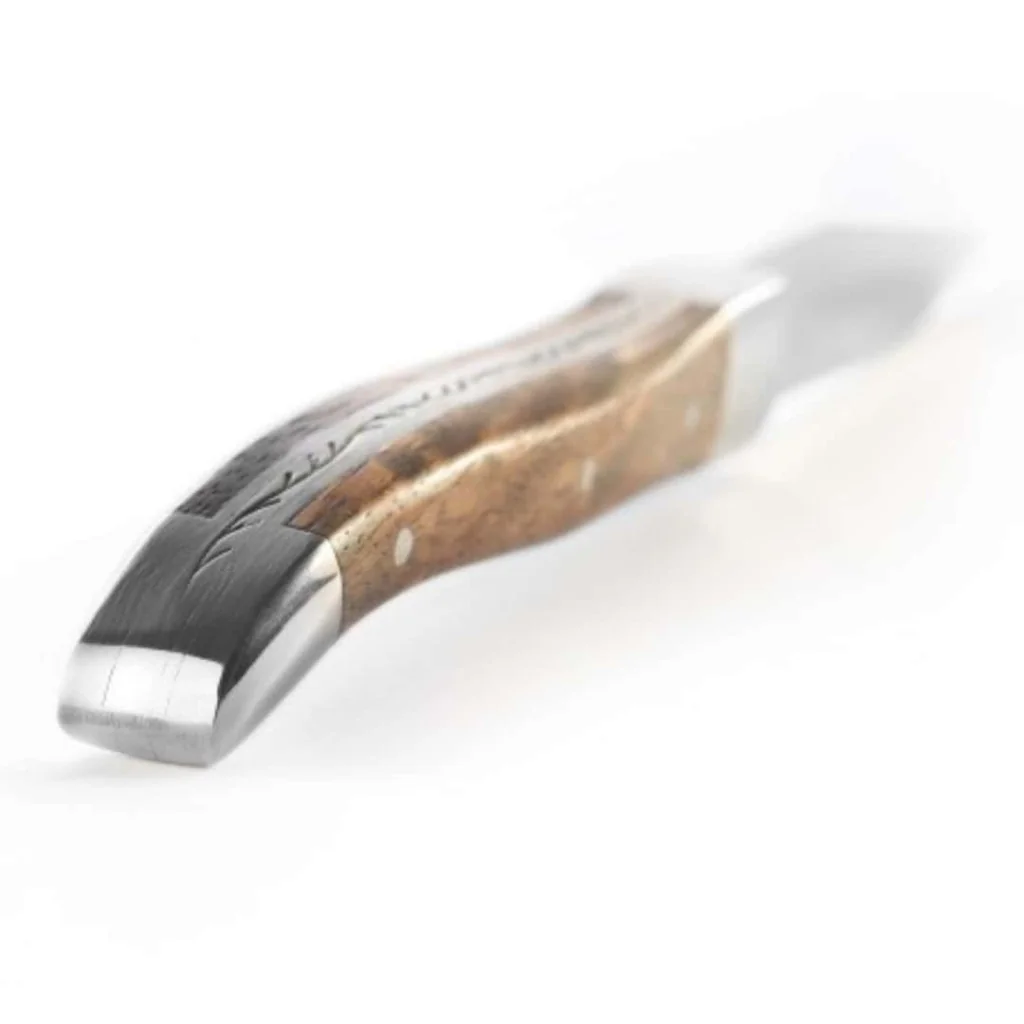 Coltello Bistecca Chuletero Alps 23 cm COMAS