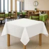 Tovaglia Tavola TNT Bianca 100x100 cm 25 pz DT