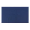 Tovagliette TNT 30x40 cm Blu 100 pz DT
