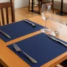 Tovagliette TNT 30x40 cm Blu 100 pz DT