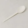 Cucchiaino Bio Cpla 13 cm 50pz IMBALLAGGI ALIMENTARI