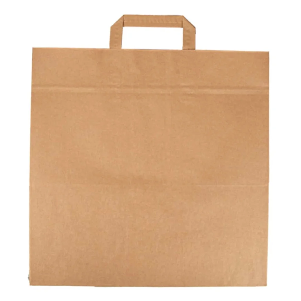 Sacchetti Carta Kraft Natural con Manici 32x21x26 cm 10pz USOBIO