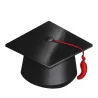 Tovaglioli Sagomati Laurea 33x25 cm 3 Veli 16 pz GIVI ITALIA