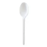 Cucchiaio Bio Bianco 100 pz DT