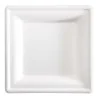 Piatti Piani in Polpa di Cellulosa 16x16 cm 50 pz SIAM QUALITY