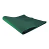 Tovaglia Coprimacchia TNT Verde Foresta 100x100 cm 25 pz DT