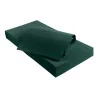 Tovaglia Coprimacchia TNT Verde Foresta 100x100 cm 25 pz DT
