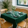 Tovaglia Coprimacchia TNT Verde Foresta 100x100 cm 25 pz DT