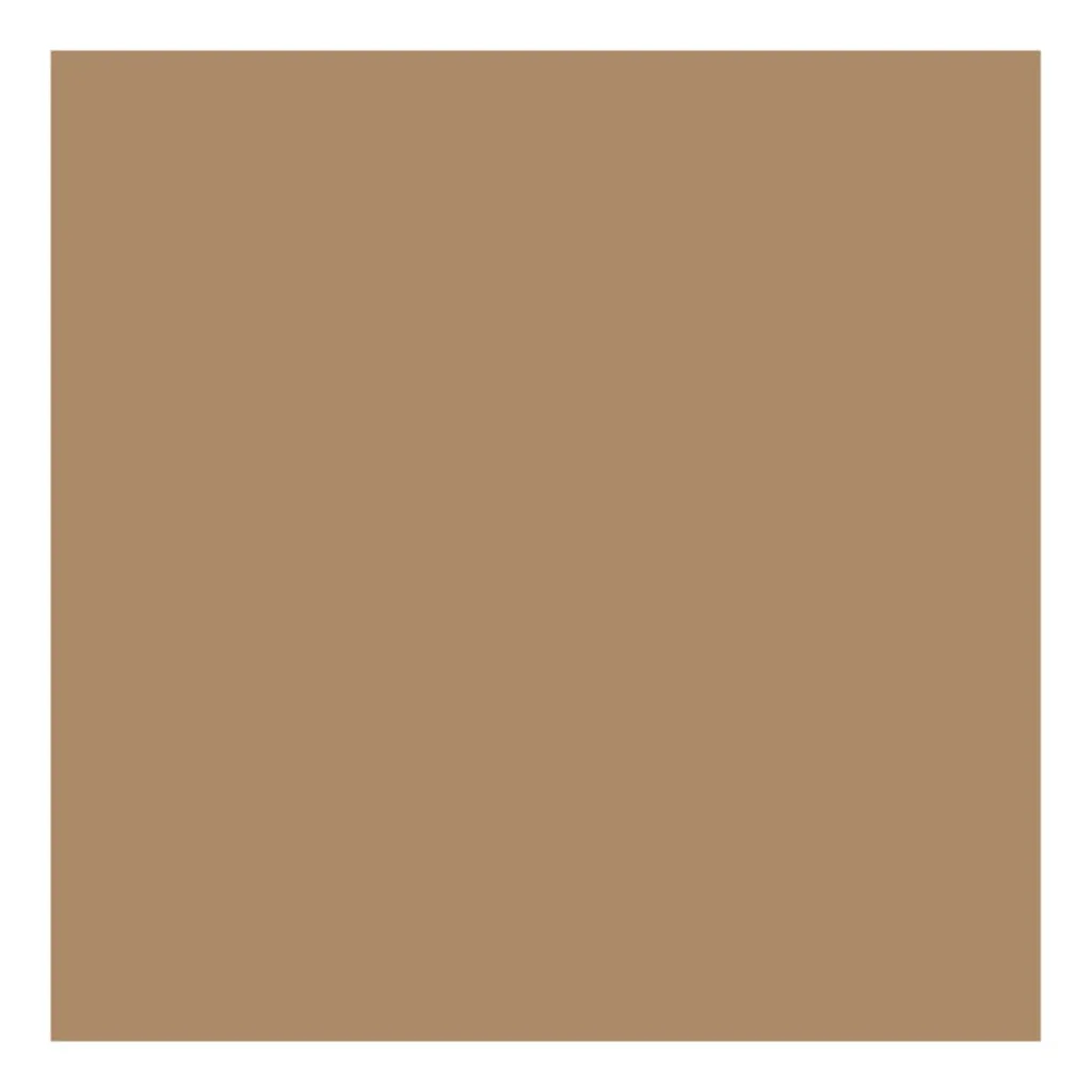 Tovaglioli Airlaid Cappuccino 40x40 cm 50 pz RO.IAL