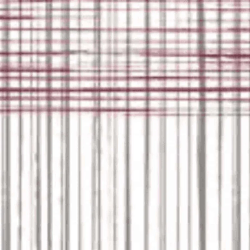 Tovaglie Airlaid Cannetè Bordeaux 100x100 cm 20 pz RO.IAL